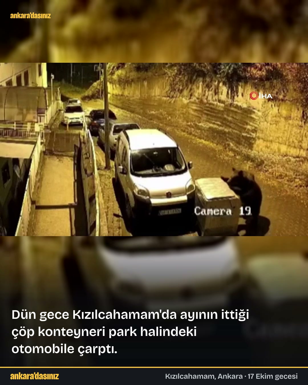 Kızılcahamam: ayı itti, konteyner arabaya çarptı haberinin video kapağı